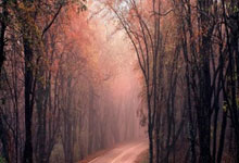 波特:我愿意挺身而出为队友而战 如果能上场我就会打.