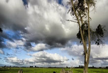 鲸鱼体育官网:2025年世界冬季极限运动会:李方慧摘银 谷爱凌伤退2025-01-26.