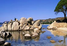 鲸鱼体育官网:恭喜!成都混团世界杯国乒开门红人民日报微博.